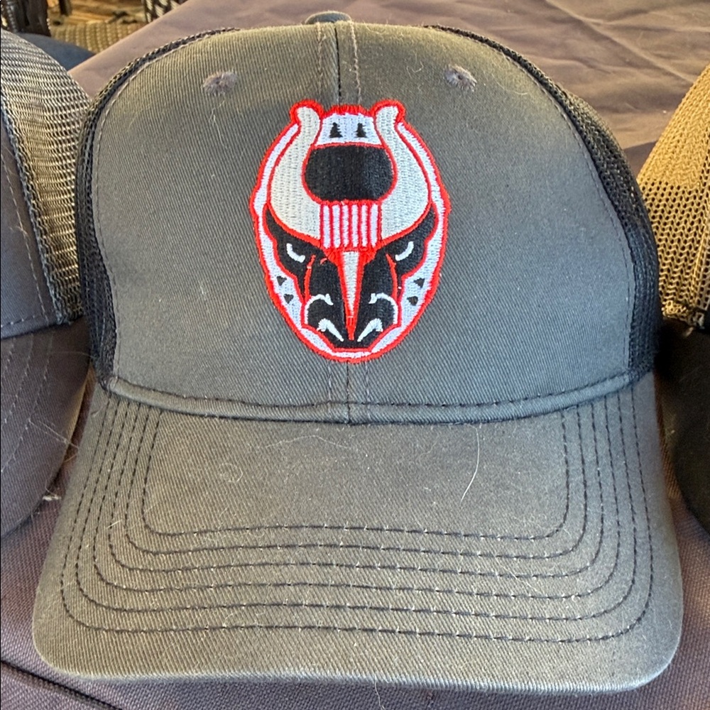 Cap Bundle - image 3